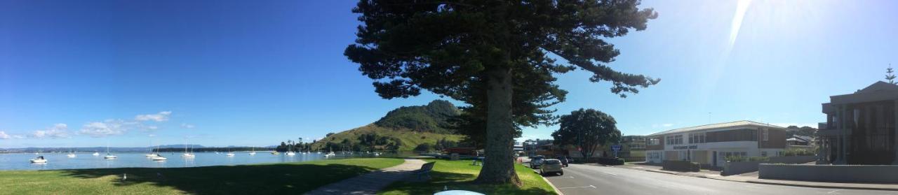 Westhaven Motel Tauranga Kültér fotó