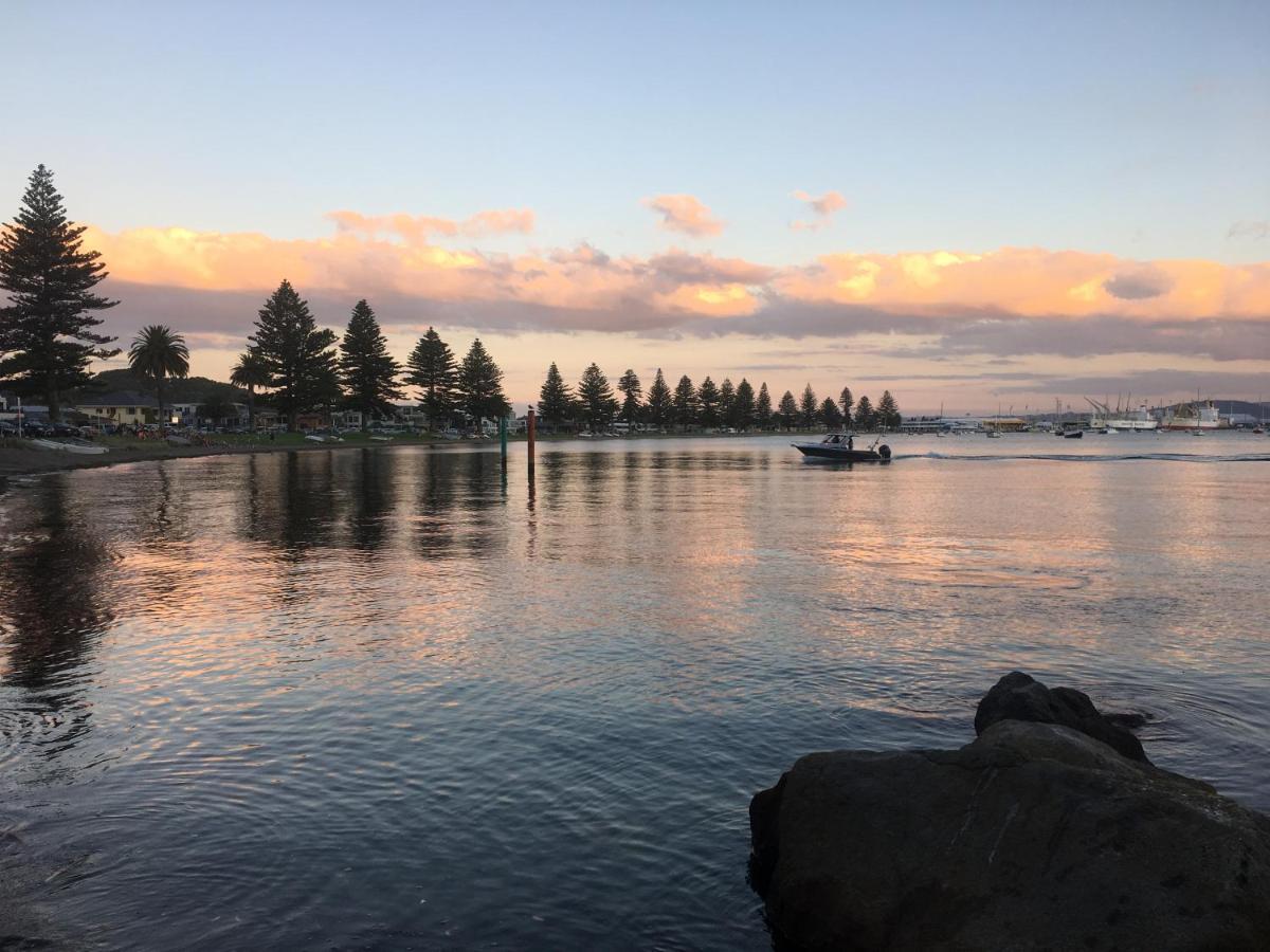 Westhaven Motel Tauranga Kültér fotó